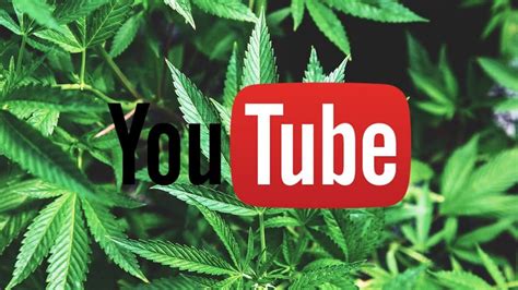 best marijuana youtube channels.